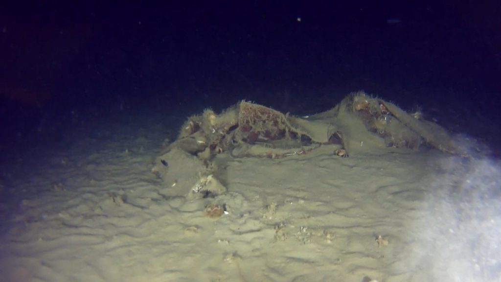 İstanbul’da 50 yıllık gizem: THY’ye ait uçağın enkazından yeni parçalar