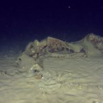 İstanbul’da 50 yıllık gizem: THY’ye ait uçağın enkazından yeni parçalar