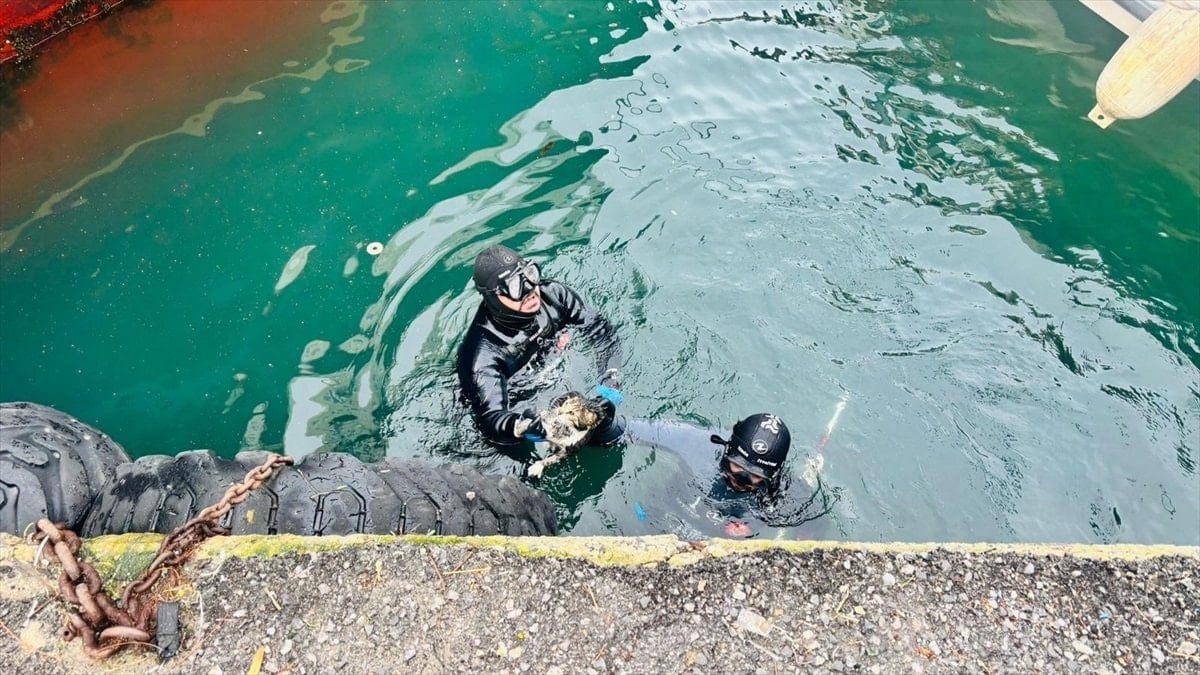 Karşıyaka Vapur İskelesi altında mahsur kalan kedi kurtarıldı