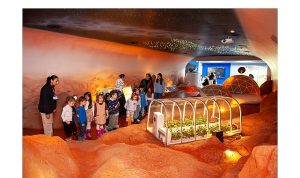 Karşıyakalı anaokulu öğrencileri Uzay Kampı’nda