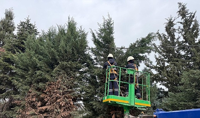 Kartepe’de Yeşil Alanlara Düzenli Bakım