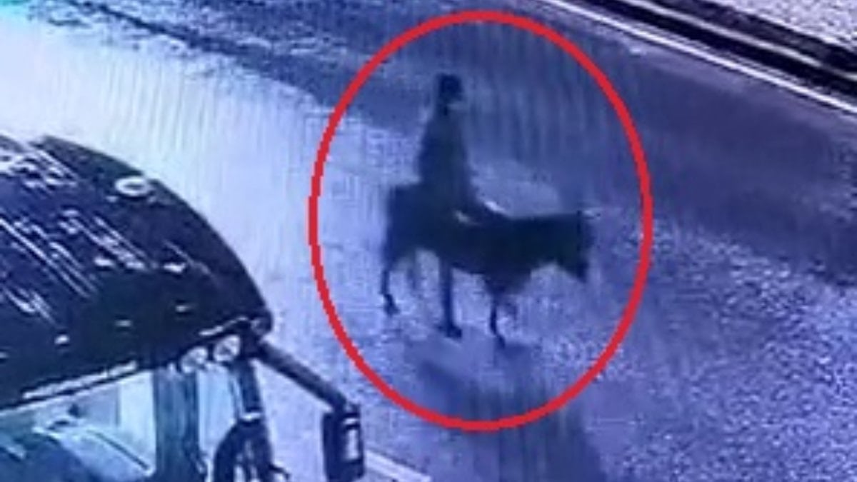 Kayseri’de forkliftle kuyumcu soyan şahıs eşekle kaçtı