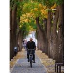 Konya Büyükşehir’in “Sürdürülebilir Ulaşımda Nezaket ve Görgü Kuralları” Yarışmalarının Sonuçları Belli Oldu