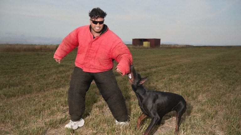 Lvbel C5 imaj yeniledi! Yine beğenilmedi