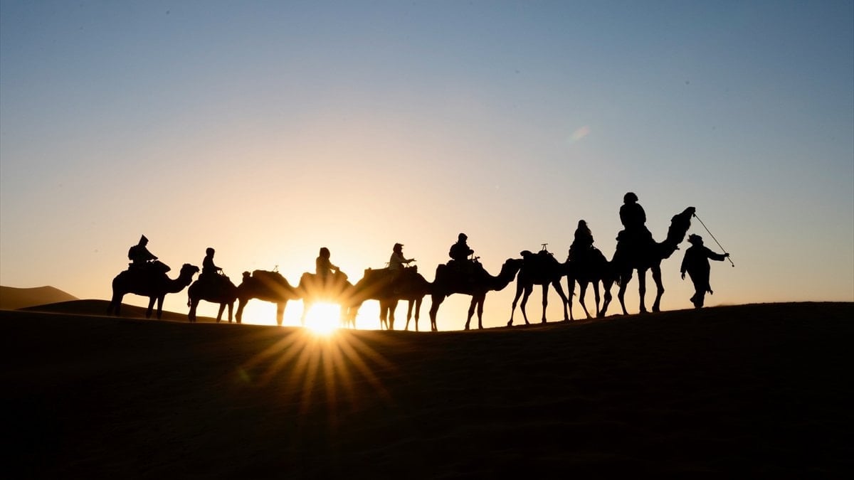 Suudi Arabistan’da “deve pasaportu” projesi