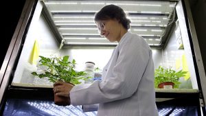 Türk bilim insanı, uzayda bitki yetiştirme çalışmalarına öncülük ediyor