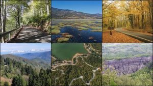 Türkiye’de korunan alanlara, Giresun ve Tokat’tan tabiat parkları eklendi