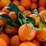 Türkiye’nin narenciye geliri 1,4 milyar doları aştı