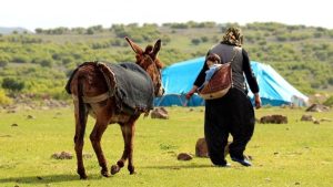 Türkiye’nin nüfusu artarken kırsalda yaşayanların nüfusu azalıyor