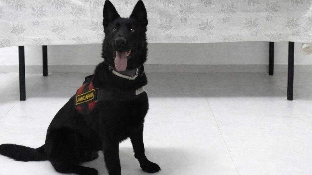 Van’da İranlı yolcu 510 gram eroin ile yakalandı