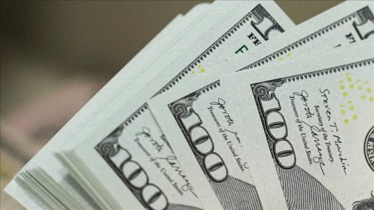 Yatırım araçlarında haftanın tek kazandıranı: Dolar