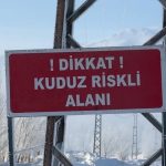 Yüksekova’da kuduz alarmı