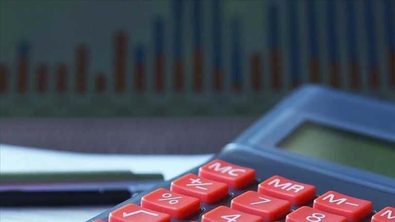 Yurt içi üretici fiyat endeksi açıklandı