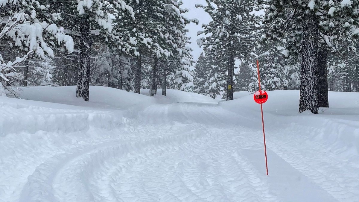 ABD’de çığ felaketi: 8 kayakçının cansız bedenine ulaşıldı