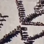 Adıyaman’da öğrenciler anlamlı bir koreografiye imza attı