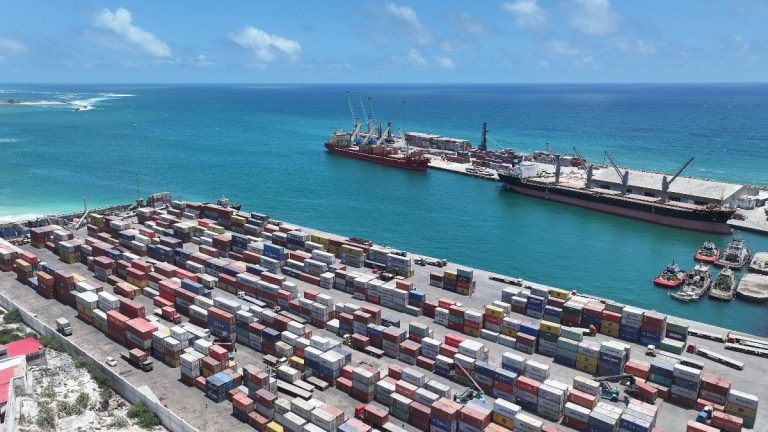 Albayrak Grubu, küresel liman operasyonlarını ALPORT markası altında birleştirdi