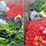 Antalya’da çöpe dökülen sebzeleri gören vatandaş tepki gösterdi