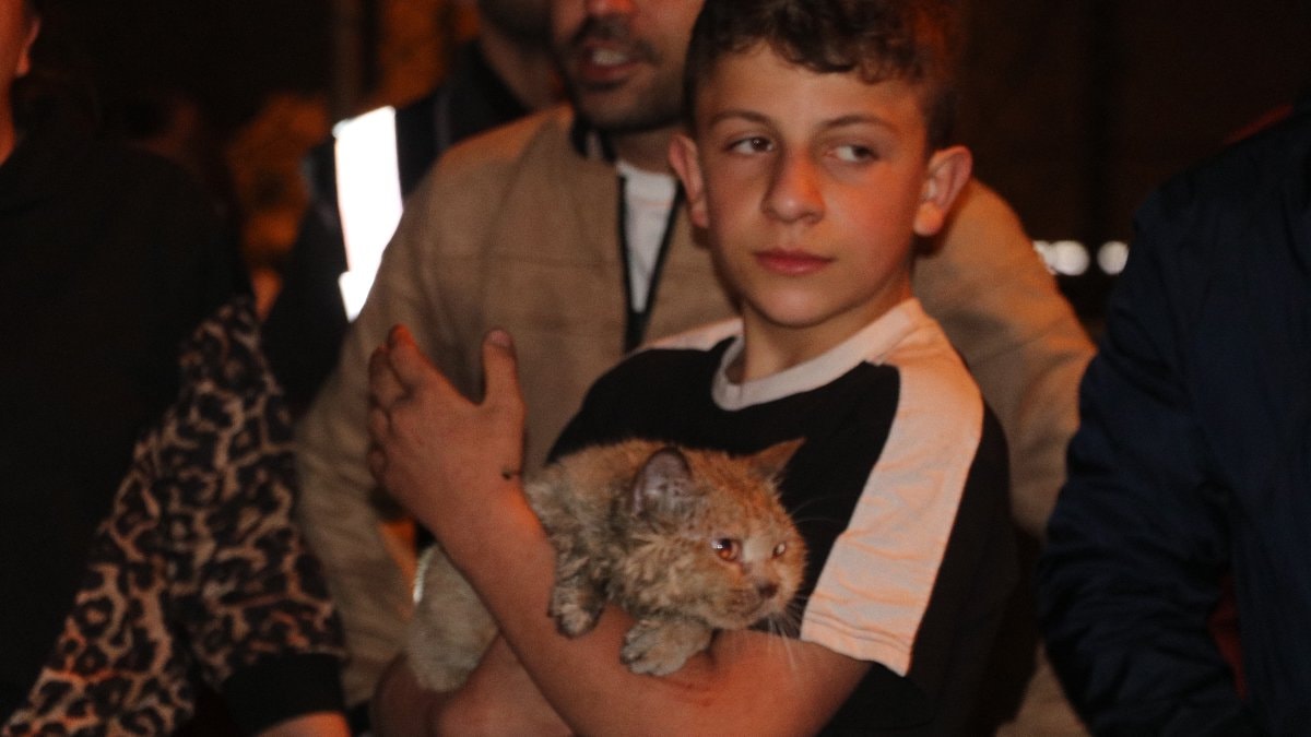 Antalya’da kedi ‘Duman’ evde çıkan yangında kurtarıldı