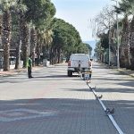 BALDEP Projesi Altınova Sahili’nde Sürüyor