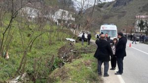 Başıboş sokak köpeği kazaya neden oldu: 1 ölü