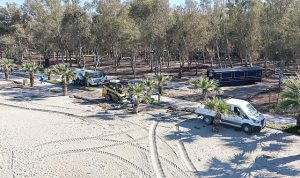 Başkan Çerçioğlu’ndan Sevgi Yolu’nda Temizlik Çalışması