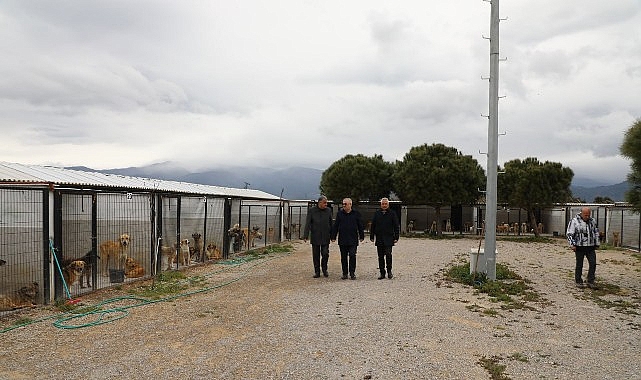 Başkan Ertaş’tan sokak hayvanlarına ilişkin açıklama