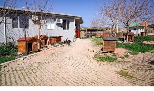 Başkan Yetişkin: “Artık çöpe giden yemekler can dostlarımız için mamaya dönüşüyor”