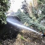 Başkent’in Simgesi Kuğulupark’ta Buharlı Temizlik