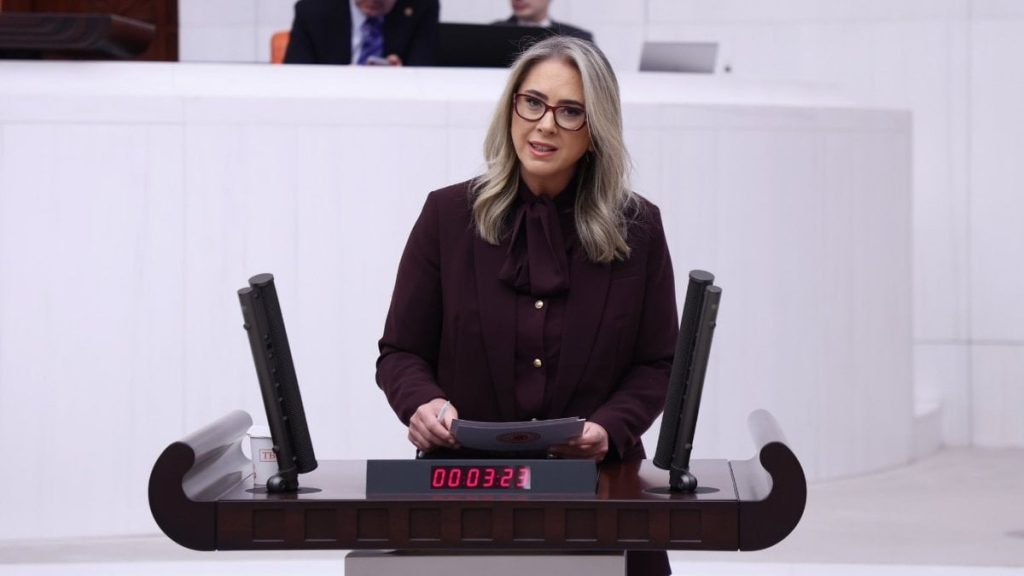 Ceyda Bölünmez Çankırı’dan Mahmut Tanal’a: Herhalde acınızı unuttunuz