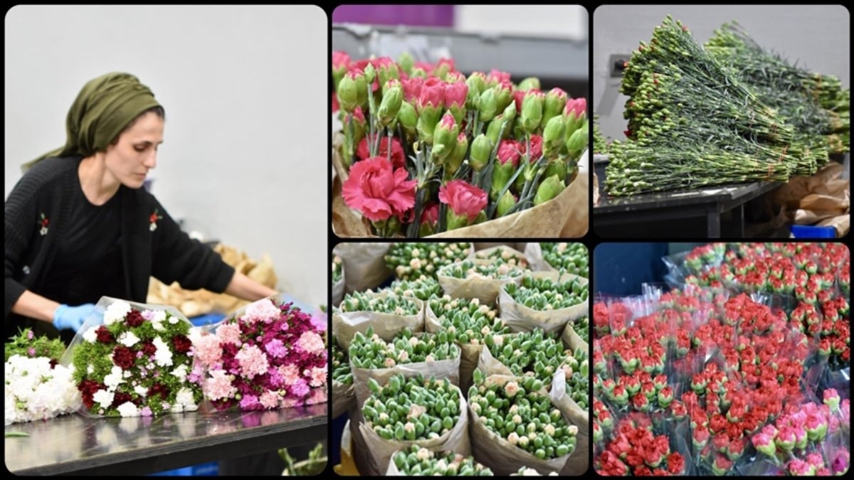 Dünya Kadınlar Günü için 35 ülkeye 80 milyon dal çiçek