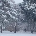 Erzincan’da kardan 524 köy yolu kapandı