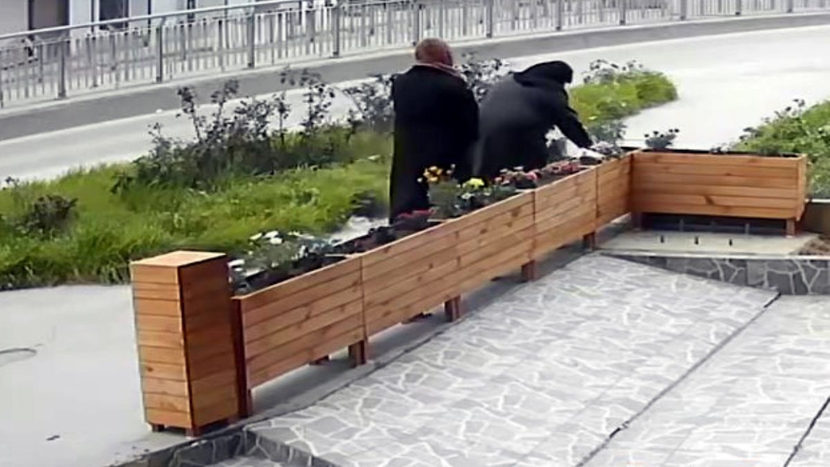 İstanbul’da bastonlu şüpheli iş yeri önündeki çiçekleri çaldı