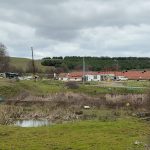 İstanbul’da çiftlik evinde elektrikli testere ile husumetlisine saldırdı