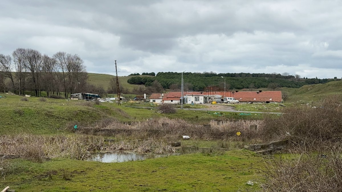 İstanbul’da çiftlik evinde elektrikli testere ile husumetlisine saldırdı