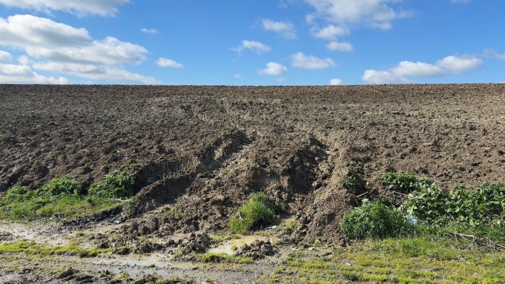 İstanbul’da kayıp Çinli iş insanının cesedi gömülü bulundu