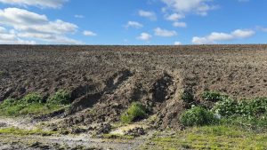 İstanbul’da kayıp Çinli iş insanının cesedi gömülü bulundu