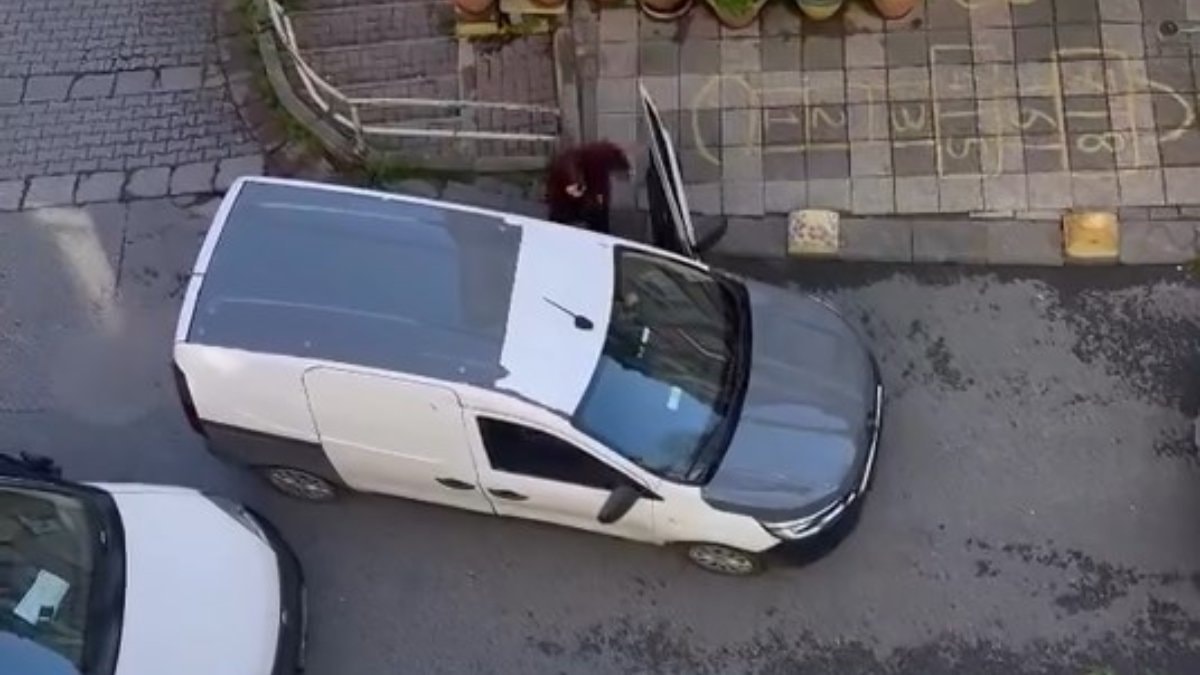 İstanbul’da mahallede park kavgası