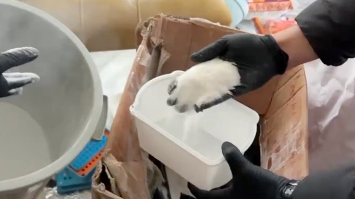 İstanbul’da uyuşturucu operasyonu: 5 şüpheli yakalandı