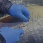 Kayseri’de çekicide dev uyuşturucu sevkiyatı: 1 milyon 260 bin hap ele geçirildi