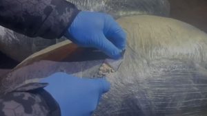 Kayseri’de çekicide dev uyuşturucu sevkiyatı: 1 milyon 260 bin hap ele geçirildi