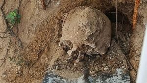 Kocaeli’de bahçede kazı yaparken insan kafatası bulundu