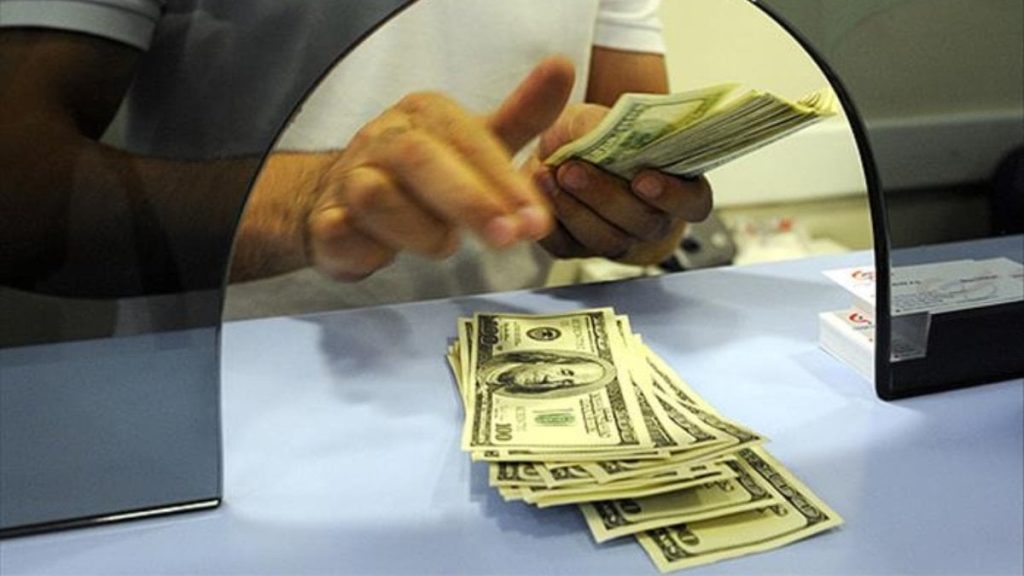 Maliye’den yetkisiz döviz işlemlerine sıkı denetim