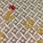 Mersin’de yaşlı kadının 3 milyon liralısını dolandırdılar: Polisten kaçamadılar