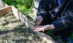 Meslek Fabrikası kursiyeri üretici oldu