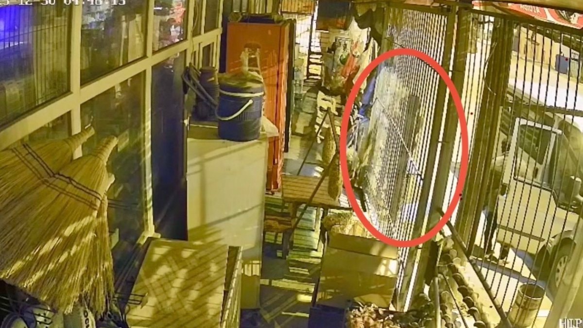 Osmaniye’de çalıntı araçla geldikleri marketten hırsızlık yaptılar: O anlar kamerada