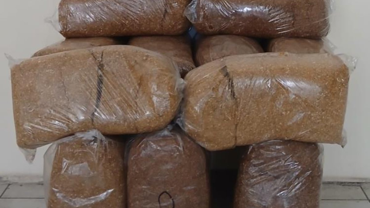 Samsun’da kaçak tütün operasyonu