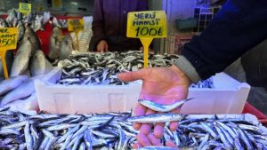 Samsun’da Ramazan ayında balık bereketi