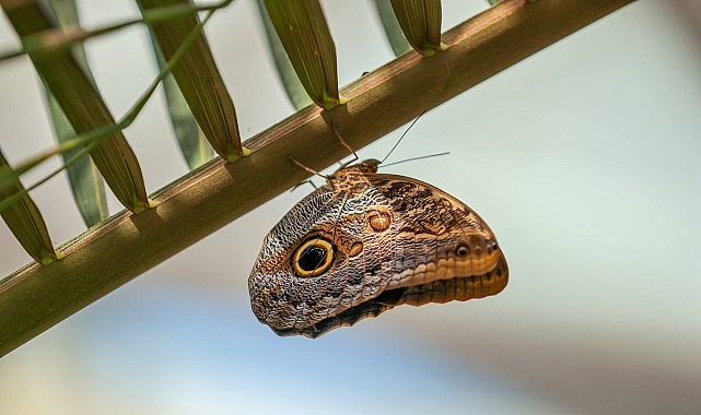 Selçuklu Belediyesi Ramazan Bayramı’na Hazır