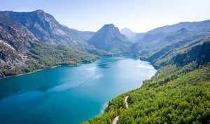 Su ve Orman: Doğanın, Refahın ve Eşitliğin Temel Taşları