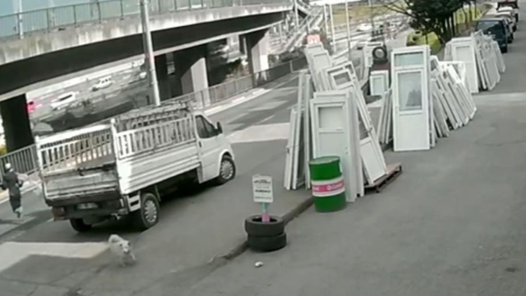 Trabzon’da başıboş köpek, can yaktı: Kaçarken otobüsün altında kaldı